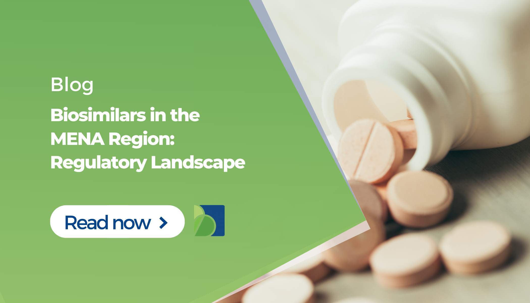 Biosimilars in the MENA Region: Regulatory Landscape