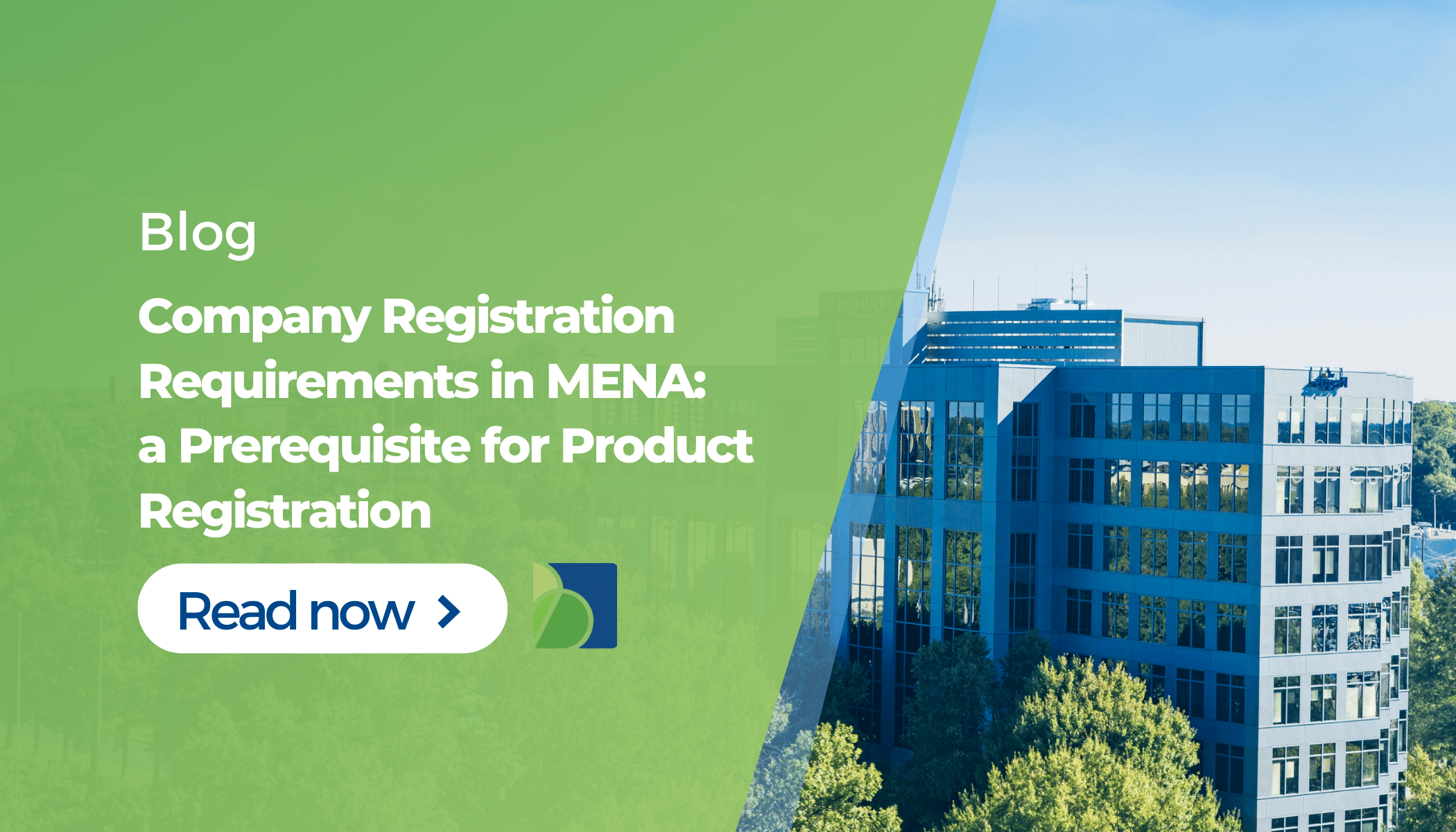 Company Registration Requirements in MENA: a Prerequisite for Product Registration